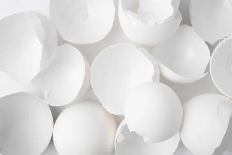 Pieces of broken eggshells on white background, top view Stock Photos