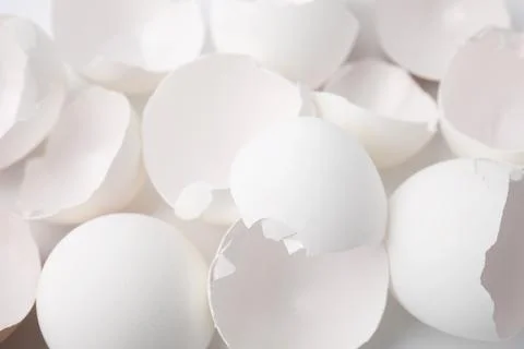 Pieces of broken eggshells on white background, closeup Stock Photos