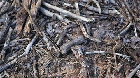 Pieces of broken planks 库存影片 87092011