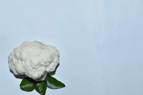Pieces of cauliflower on white background. Stock Photos