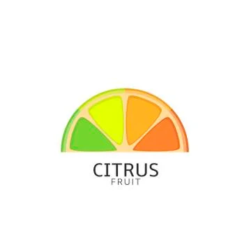 Pieces of citrus fruit Stock Illustration