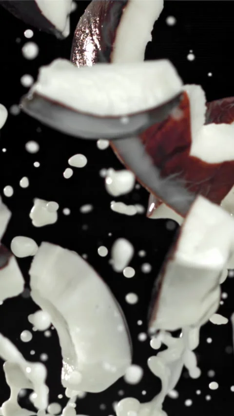 Pieces of coconut fly up and fall down. Filmed on a high-speed camera at 1000 動画素材 335359037