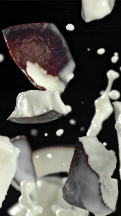 Pieces of coconut fly up and fall down. Filmed on a high-speed camera at 1000 動画素材 335359750
