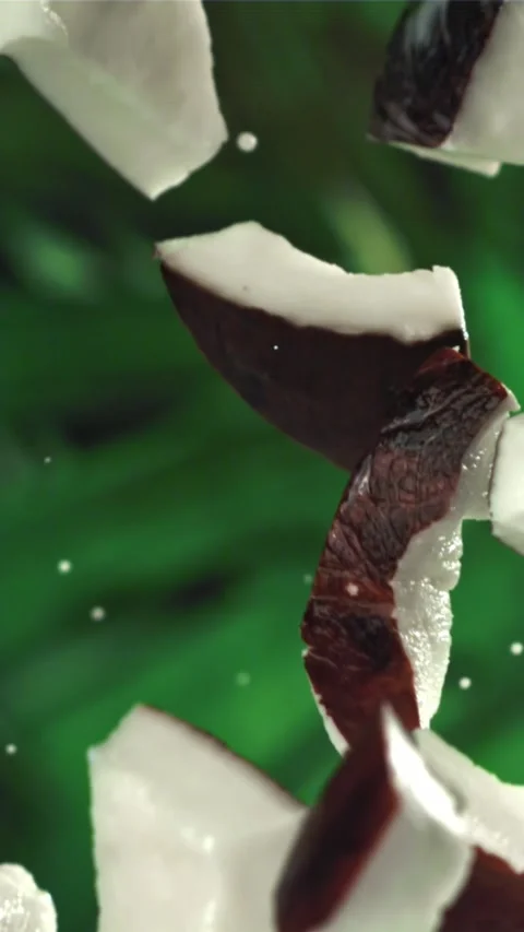 Pieces of coconut fly up and fall down. Filmed on a high-speed camera at 1000 動画素材 335359964