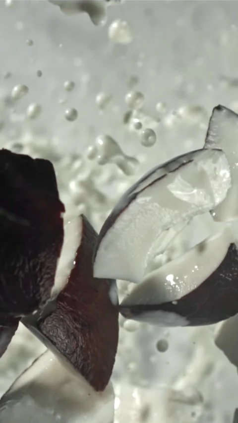 Pieces of coconut fly up and fall down. Filmed on a high-speed camera at 1000 動画素材 335360240