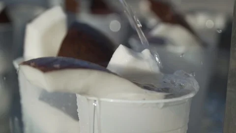Pieces of coconut lie in cups on them the water is very beautiful Stock Footage 113227384
