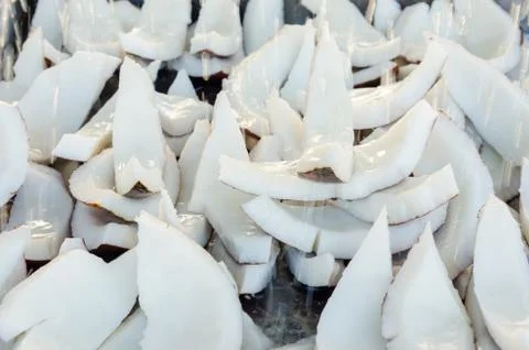 Pieces of coconut Fotos Stock