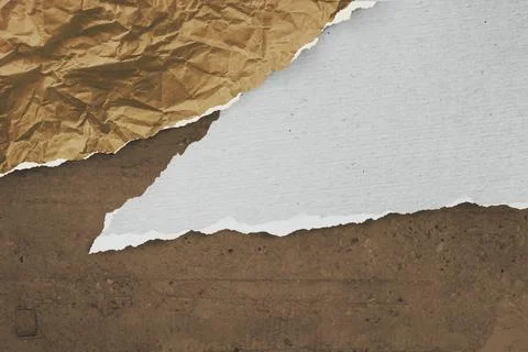 Pieces of colored torn paper Stock Illustration