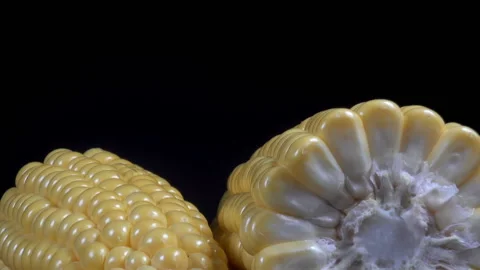 Pieces of corn cobs without leaves Stock Footage 153220740