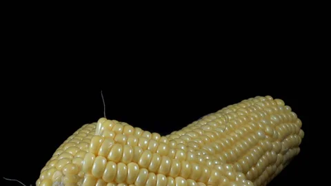 Pieces of corn on a plate rotate Stock Footage 139733011
