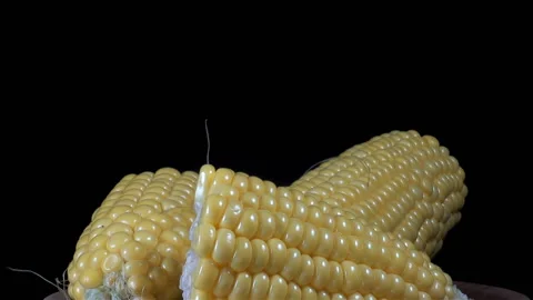 Pieces of corn rotate Stock Footage 151111573