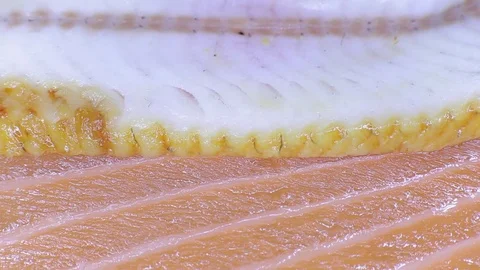 Pieces of eel and salmon  Stock Footage 82795065