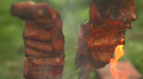 Pieces of fish on an open fire front view close up Stock Footage 55248781