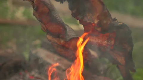 Pieces of fish on an open fire side view Stock Footage 55247220