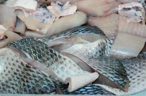 Pieces of fish Stock Photos