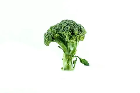 Pieces of fresh broccoli Stock Photos