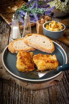 Pieces of fried cod fillet. Stock Photos