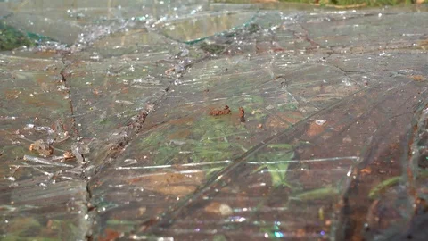 Pieces of glass on the ground Stock Footage 71139346
