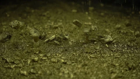 Pieces Of Gold Falling Stock Footage 94335040