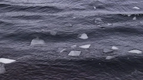 Pieces of ice float among the waves in the water in the river Video stock 328522983