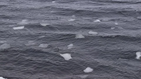 Pieces of ice float among the waves in the water in the river Video stock 328523437