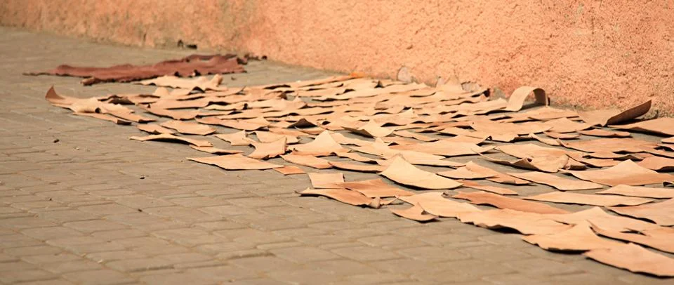 Pieces of leather drying Stock Photos