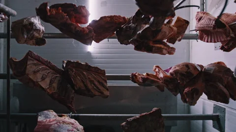 Pieces of meat hanging from a pole up-angle Stock Footage 274594241
