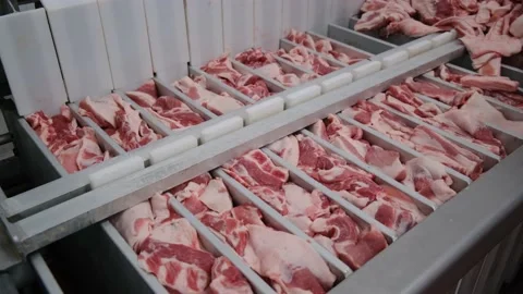 Pieces of meat packaged in special trays for deep freezing 스톡 동영상 200774639