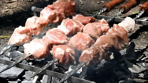 Pieces of meat starting to cook over hot coals Stock Footage 77861121