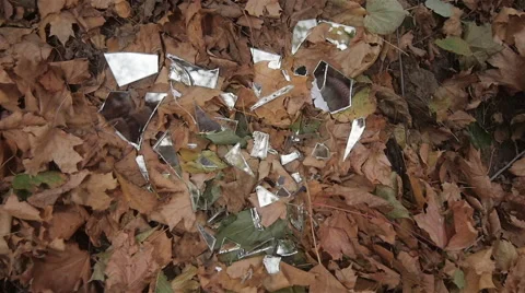 Pieces Of Mirror In The Shape Of A Heart Lying On Autumn Leaves Stock Footage 68082402