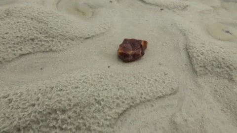 Pieces of natural amber in a stream Stock Footage 152985175