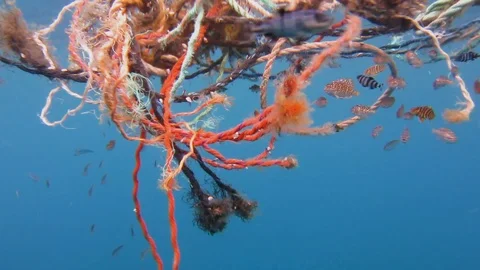 Pieces of plastic rope polluting the ocean with fish living underneath Vidéo 102649838