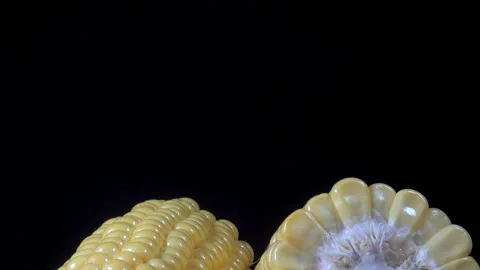 Pieces of ripe corn rotate Stock Footage 213355622
