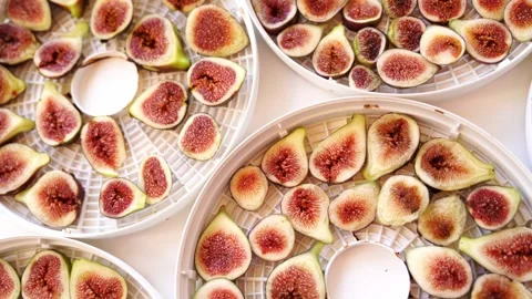 Pieces of ripe figs on trays for drying fruits lie on the table Stock Footage 287627754