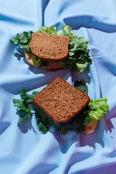 Pieces of rye bread with various greens on a drapery, concept of healthy sand Stock Photos
