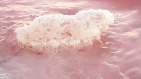 Pieces of salt in the lake. Stock Footage 79604912