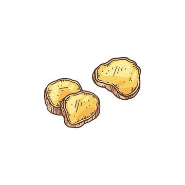 Pieces of sliced ginger root, engraving hand drawn vector illustration isolated. Иллюстрация