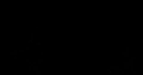 Pieces of snow flying up from below against a black background 4K Stock Footage 320169030