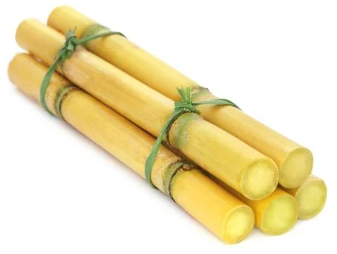 Pieces of sugarcane Stock Photos