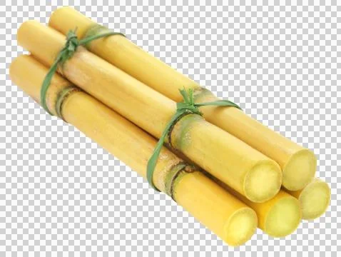 Pieces of sugarcane Stock Photos