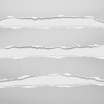 Pieces of torn horizontal white, grey grainy paper with soft shadow are on Stock Illustration