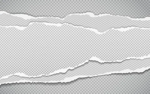 Pieces of torn horizontal white paper pieces with soft shadow are on squared Stock Illustration