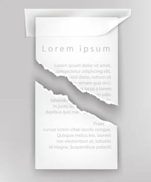Pieces of torn paper on a light background Stock Illustration