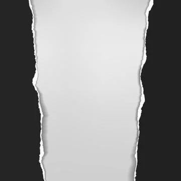 Pieces of torn, ripped black vertical paper with soft shadow are on white Stock Illustration