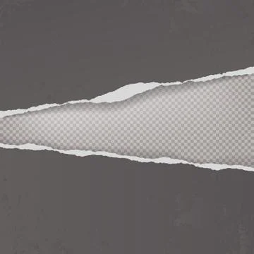 Pieces of torn, ripped dark grey paper with soft shadow are on squared Stock Illustration