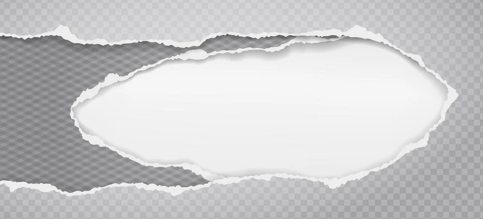 Pieces of torn, ripped grey squared paper with soft shadow are on white Stock Illustration