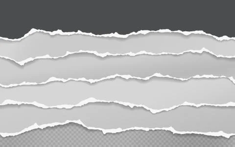 Pieces of torn white black horizontal paper with soft shadow are on squared Stock Illustration