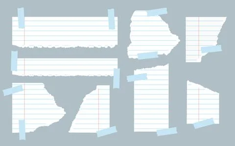 Pieces torn white lined notebook paper set vector Stock Illustration