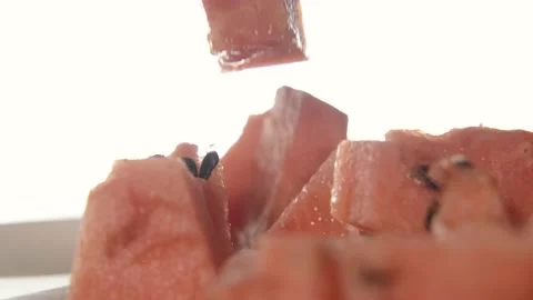 Pieces of watermelon. Eating with a fork. Macro. Stock Footage 204947911