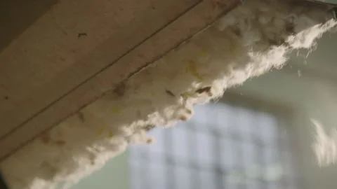 Pieces of wool falling down Stock Footage 141518716